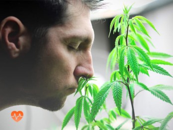 Детоксикация от марихуаны в Краснозатонском